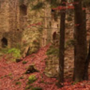 Meet your Posher, Marilyn